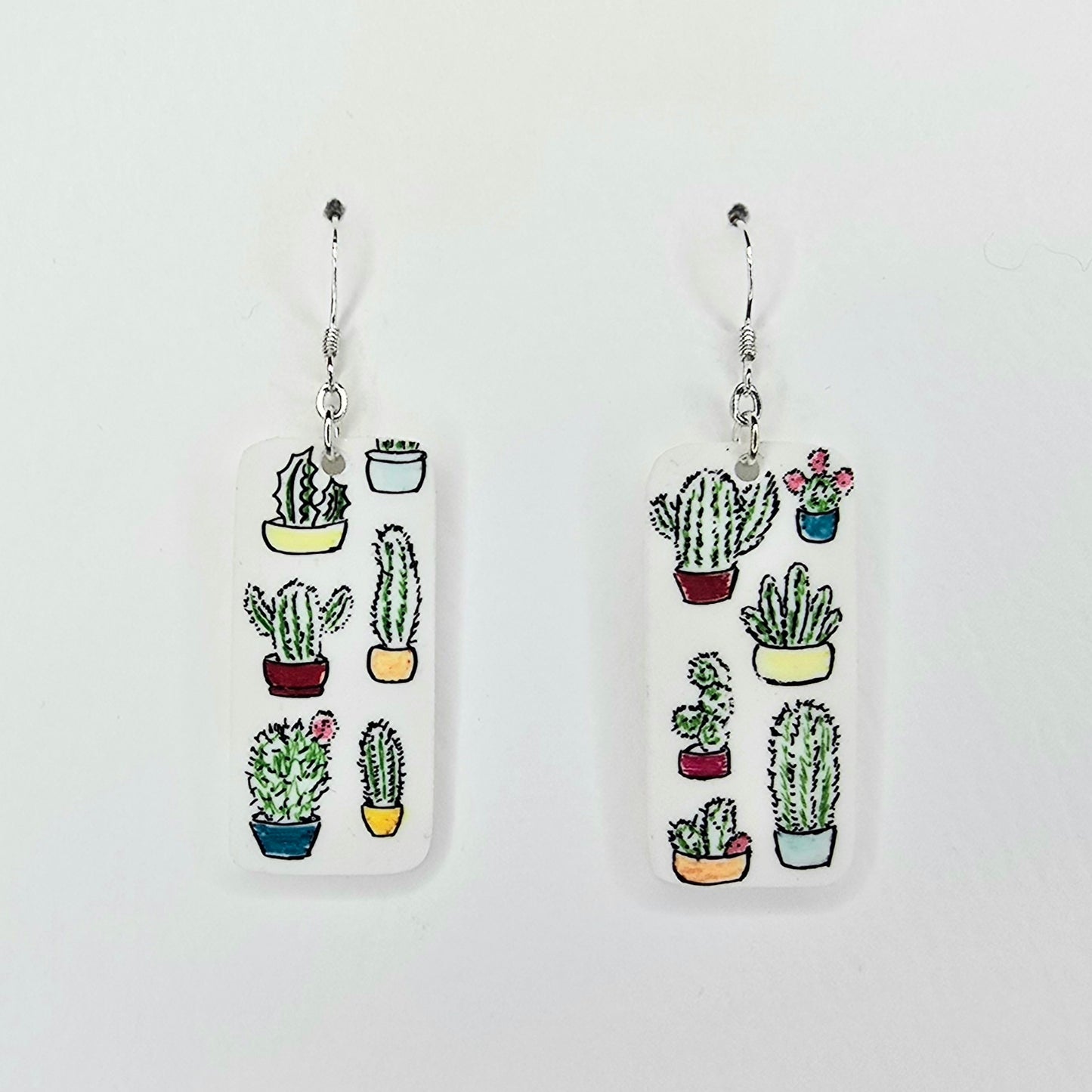 Colourful Cactii